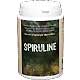 Spiruline