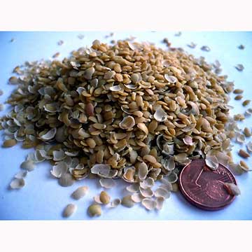Extrait de germe de soja bio