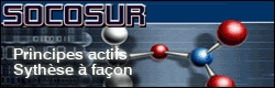 SOCOSUR SOCIETE COMMERCIALE
