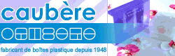 CAUBERE