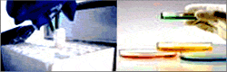 CRYOTEC