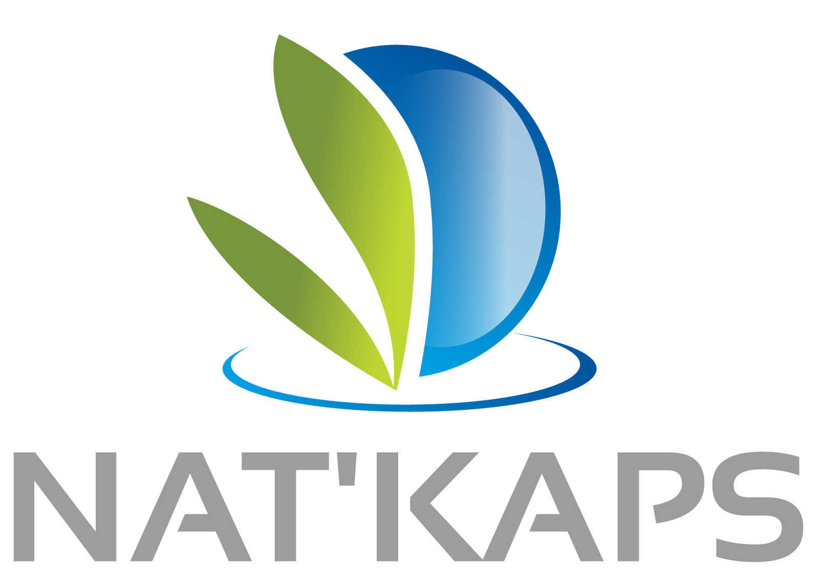 Logo NATKAPS