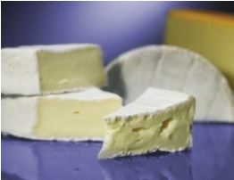 Image de présentation Caractérisation rhéologique du fromage 