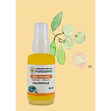 Calophylle inophylle