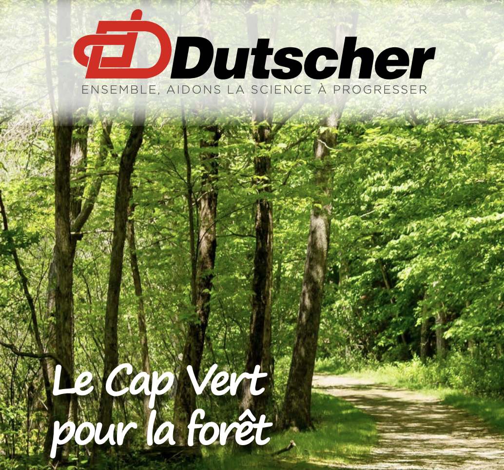 Image de présentation Dutscher finance la plantation d’arbres via la gamme GoGreen et le programme "Cap vert pour la forêt" 