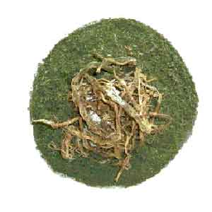 Visuel deExtrait de feuilles d'orties Nettle root or leaf