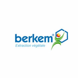Logo BERKEM