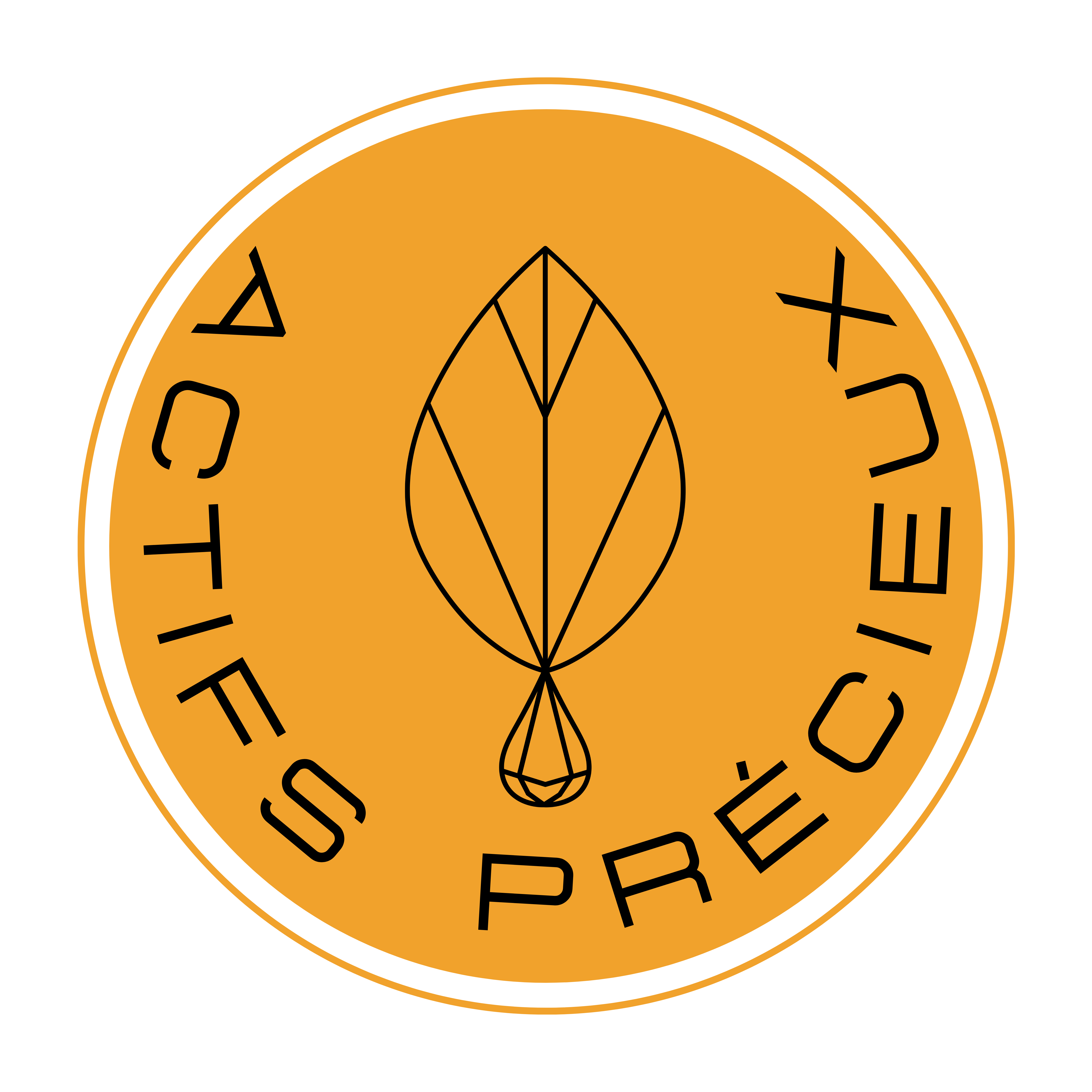 Logo ACTIFS PRECIEUX S.A